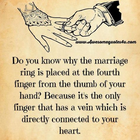 Do You Know Why The Marriage Ring Is Placed On the Fourth Finger Marriage Ring, Wife Quotes, Wedding Quotes, Marriage Relationship, Husband Quotes, Marriage Life, Love My Husband, Marriage Tips, Marriage Quotes