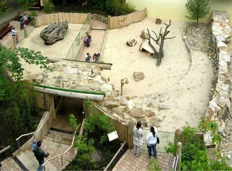 ZooLex Image - Aerial view of outdoor enclosure Zoo Enclosures, Zoo Exhibit, Zoo Boo, Animal Enclosures, Zoo Tycoon, Outdoor Enclosure, Zoo Design, Enclosure Design, Exhibit Ideas