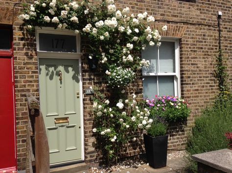 Climbing Roses Front Door, Light Green Door, White Climbing Roses, Door Aesthetic, Rose Trellis, House Facade, Victorian Cottage, House Front Door, Green Door