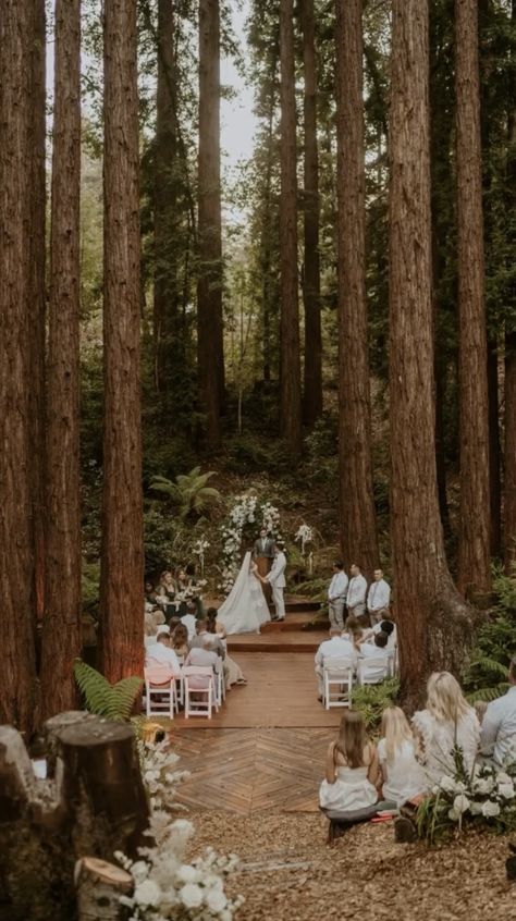 Small Forest Wedding Ideas, Forest Micro Wedding, Small Forest Wedding Ceremony, Small Forest Wedding, Forest Wedding Ceremony, Moss Wedding, Small Weddings Ceremony, Small Forest, Micro Wedding