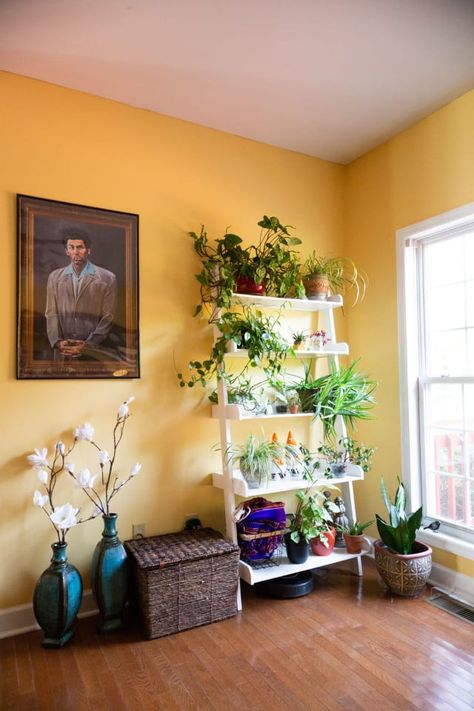 Yellow Wall House Decor, Sunny Dining Room, Yellow Apartment Decor, Herbology Aesthetic, Yellow Painted Rooms, Yellow Home Office, Sunny Interior, Yellow Apartment, Yellow Bungalow