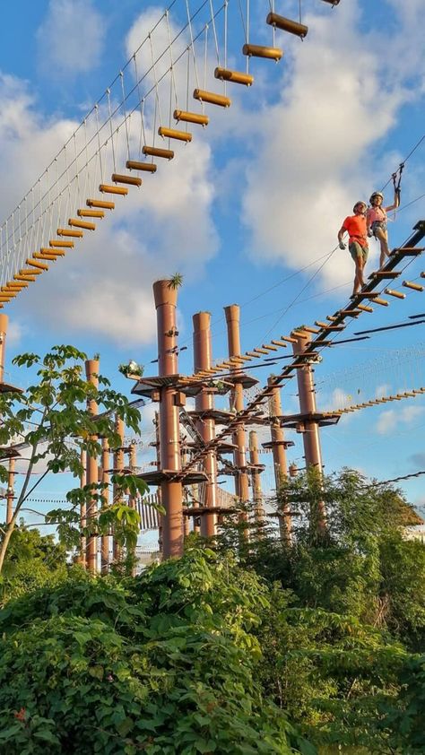 Ropes Course Aesthetic, Treehouse Design Architecture, Mountain Activities, High Ropes Course, Kids Backyard Playground, Camping Park, Ropes Course, Hillside Landscaping, Nature Museum