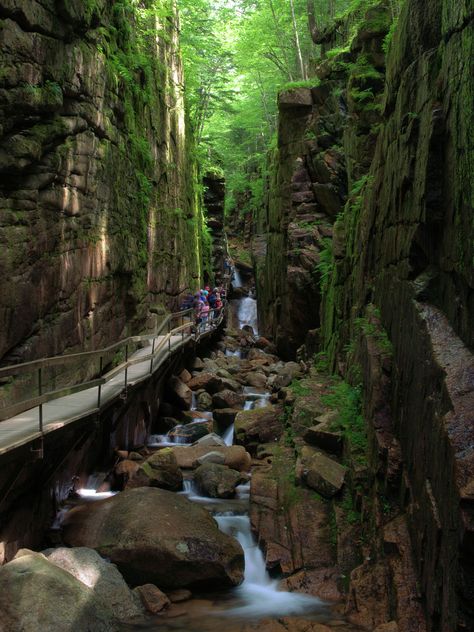 Flume Gorge, Franconia Notch, Covered Bridge, Beautiful Forest, Hiking Backpacking, Cat Walk, Zion National Park, A Bridge, Camping Hiking