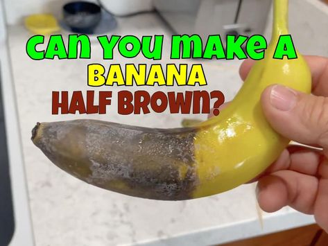 How to make a banana that’s half brown and half yellow? When bananas get old, bananas go brown. They also go brown when they are bruised. But what causes the brownness? It’s all down to a chemical called polyphenol oxidase (PPO). This chemical oxidises (adds oxygen to) a type of chemical called a phenol. These oxidised phenols then join together with other compounds to make brown colors. Old Bananas, Make Brown, Go Browns, Easy Science Experiments, How To Make Brown, Easy Science, Homeschool Science, A Banana, Science Experiments Kids