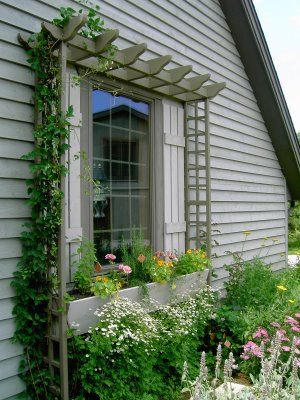 A mini pergola for around the window, a beautiful architectural support for training clematis or climbing roses. Mini Pergola, نباتات منزلية, Small Front Yard Landscaping, Small Front Yard, Garden Vines, Window Planter Boxes, Side Yard, Garden Trellis, Flower Bed