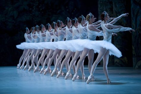 Paris Opera Ballet Svetlana Zakharova, Opera Ballet, Rudolf Nureyev, Paris Opera Ballet, Ballet Theater, Classical Ballet, Fred Astaire, Ballet Photography, Ballet Beautiful