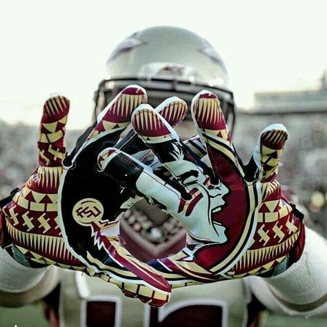 Fsu Seminoles Football, Noles Football, Florida State Seminoles Football, Florida State Football, Seminoles Football, Fsu Football, Warren G, Fsu Seminoles, College Football Season