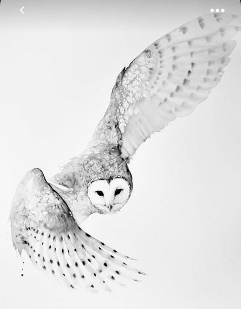 Owl Design Drawing, Owl Flying Tattoo, Flying Owl Tattoo, Snow Owl Tattoo, Snowy Owl Tattoo, White Owl Tattoo, Barn Owl Drawing, Barn Owl Tattoo, Realistic Owl Tattoo