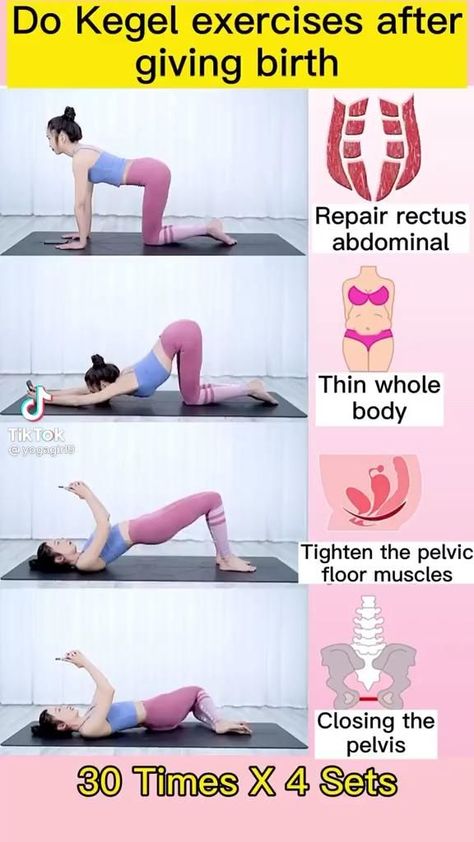 Pin by leistallion on A tik tok [Video] | Kegel exercise, Bodyweight workout beginner, Postnatal workout Lose 10 Kg, Diastasis Recti Exercises, Post Pregnancy Workout, Tik Tok Video, Kegel Exercise, Postnatal Workout, Full Body Gym Workout, Easy Yoga Workouts, Post Partum Workout