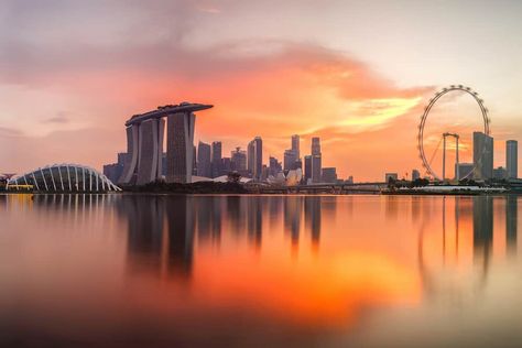 29 Facts About Singapore That Will Blow Your Mind Sunset On Canvas, Singapore Things To Do, Singapore Skyline, Luxury Safe, Singapore Garden, Singapore City, Visit Singapore, Luxury Destinations, Urban Gardening