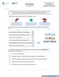 Microorganism Review, class 1 Language: English Grade/level: 6° School subject: Natural Science Main content: Review Microorganism Other contents: Natural Science, Class 8, Science Worksheets, Mind Map, Science Lessons, School Subjects, Science And Nature, Printable Worksheets, Social Science