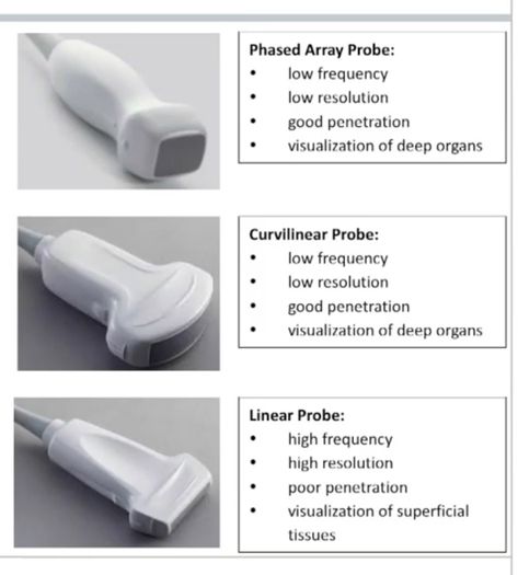 Ultrasound Terminology, Ultrasound Technician Aesthetic Notes, Transducers Ultrasound, Ultrasound Technician Notes, Ultrasound Tech Study Notes, Ob Sonography, Ultrasound Notes, Sonography Notes, Cardiovascular Sonography Aesthetic