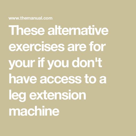 These alternative exercises are for your if you don't have access to a leg extension machine Leg Extensions Workout, Muscle Definition, Bulgarian Split Squats, Compound Exercises, Split Squat, Ankle Weights, Leg Extensions, 30 Minute Workout, Bulk Up