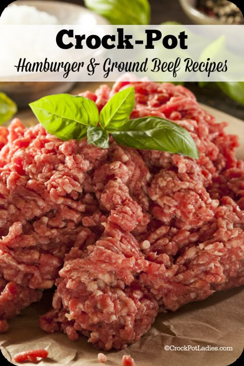 Crock-Pot Hamburger and Ground Beef Recipes Hamburger In Crockpot, Crockpot Meatloaf Recipes, Slow Cooker Casserole, Ground Beef Recipe, Crock Pot Food, Crockpot Dishes, Crockpot Beef, Beef Recipe, Crock Pot Slow Cooker