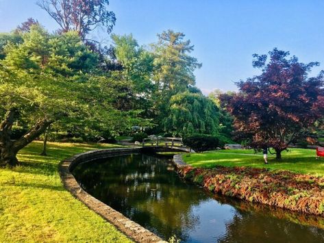 Roger Williams Park, Botanical Center, Zoo Park, Providence Rhode Island, New England Fall, Walking Paths, Public Park, Local History, City Buildings