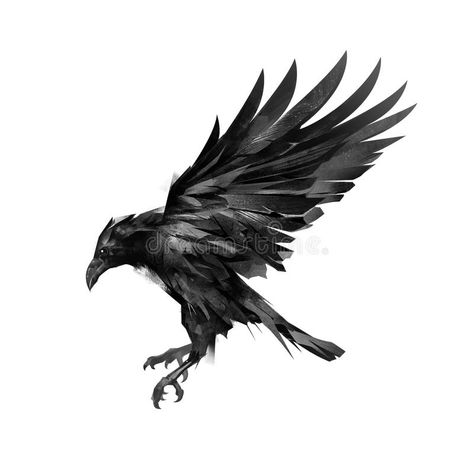 Image result for raven flying drawing Raven Flying Drawing, Flying Drawing, Raven Flying, Rabe Tattoo, Crow Tattoo, Illustration Tattoo, Raven Tattoo, Crow Art, Raven Art