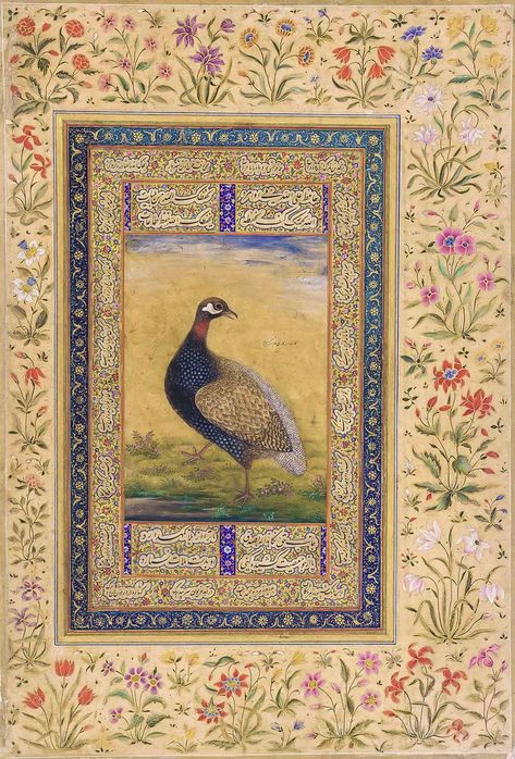 Black Francolin. Mughal. Muhammad, 19th Century. Freer Galleries. Mughal Paintings Flowers, Mughal Miniature, Mughal Miniature Paintings, Persian Painting, Mughal Art Paintings, Persian Art Painting, Mughal Paintings, Persian Miniature, Esoteric Art