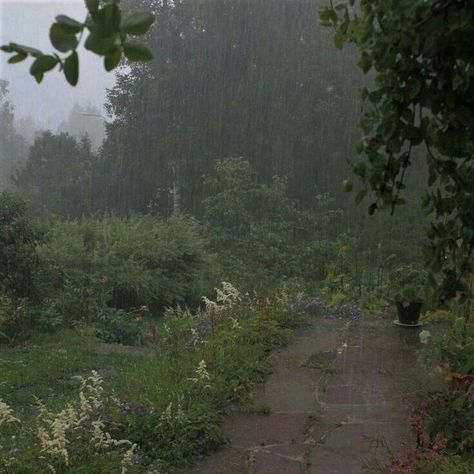 Rain Aesthetic, Rainy Day Aesthetic, I Love Rain, Love Rain, Nature Aesthetic, Pretty Places, Green Aesthetic, In The Rain, Rainy Days