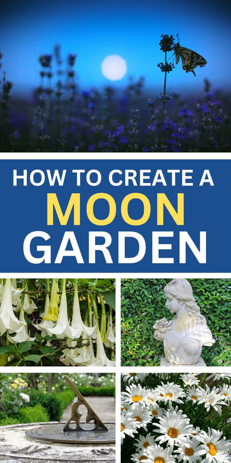 How to Create a Moonlight Garden | Montana Happy Flower Garden Against House, Witchy Garden Design, Practical Magic Garden Layout, Themed Garden Ideas, Moon Gardens At Night, Zen Outdoor Garden, Moon Garden Ideas Backyards, Witches Garden Design, Types Of Garden Styles