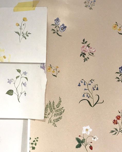 Tess Newall 🔆 on Instagram: “🌿 Bespoke Herbarium Wallpaper with additional buttercups, wild violets, forget-me-nots and ferns, for @annahainesdesigns 🌾 This is being…” Bedroom Paper Wall, Hand Painted Flowers On Wall, Herbarium Wallpaper, Tess Newall, Grandmacore Aesthetic, Flower Wall Painting, Wild Violets, Hand Painted Wallpaper, Kitchen Colour Schemes