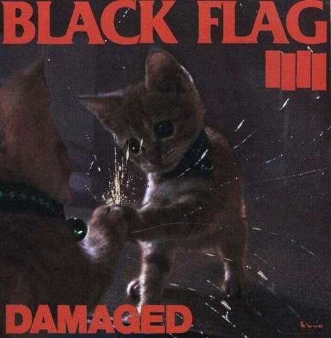 I don't know where this came from, but I'm glad it exists Heavy Metal Cat, Famous Album Covers, Punk Cats, Cat Flag, Kitten House, Joe Satriani, Iconic Album Covers, Joy Division, The Strokes