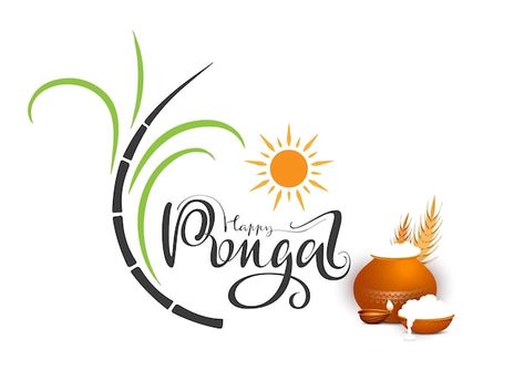 Thai Pongal, Pongal Pot, Pongal Festival, Pongal Celebration, Happy Pongal, Doodle On Photo, Best Background Images, Black And White Portraits, Vector Photo