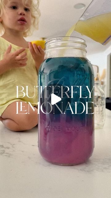 8,688 likes, 202 comments - essentiallyerin__ on July 28, 2022: "BUTTERFLY LEMONADE 🦋 Skips the dyes and fake sugars and add this one to your summer to-do. Delicious and refreshing + the color-changing magic at the end is fun for the whole family. WHAT YOU NEED: Butterfly Pea Flowers Juice from 8 fresh lemons 1/2 cup sugar Boiling water 1/2 gallon mason jar or similar sizes glass pitchers/jars Juice 8 lemons and set aside. Add 1/2 cup sugar to glass container and dissolve in hot water (I Butterfly Lemonade, Butterfly Pea Flowers, Gallon Mason Jars, Butterfly Pea Flower, Butterfly Pea, Water Me, Glass Pitchers, Boiling Water, Natural Living