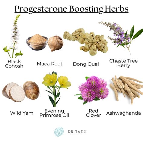 Herbs For Estrogen, Hormone Balance Herbs, Estrogen Boosting Herbs, Ways To Increase Progesterone, Herbs For Women Hormones, How To Raise Progesterone Levels, How To Boost Progesterone Naturally, Pre Menopausal Herbs, Progesterone Boosting Foods