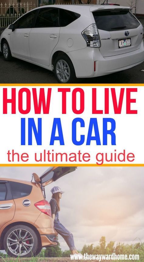 Live In Your Car, Living In A Car, Budget Camping, Camping Gear Gadgets, Living In Car, Stealth Camping, Camping Desserts, Photography Outfits, Car Living