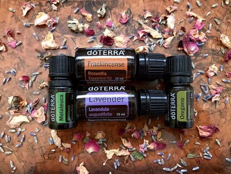 Make the Best Use out of DoTerra Essential Oils for Acne - comprehensive Review on the best essential oils for blemish prone skin - benefits + DIY recipes. Essential Oils Acne, Doterra Acne Blend, Essential Oil For Bruising, Essential Oils Ants, Doterra Acne, Abode Doterra, Doterra Fennel, Doterra Metapwr Oil, Oregano Essential Oil