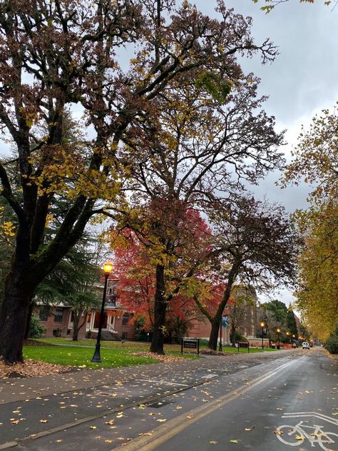 Oregon State University Aesthetic, Neighborhood Aesthetic, Pnw Fall, Oregon Fall, Osu Beavers, Oregon College, Corvallis Oregon, Oregon Living, University Of Richmond