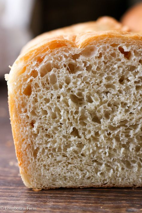 This is the best homemade bread recipe! The bread is soft and airy with a perfect buttery crust. It will turn out every time you make it. Try it today! Farm Bread, Best Homemade Bread, Homemade Bread Recipe, Bakers Yeast, Best Homemade Bread Recipe, Active Dry Yeast, Best Bread Recipe, Sandwich Bread, Bread Recipes Homemade