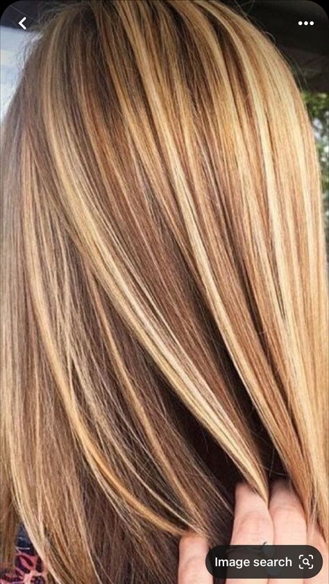 Carmel Hair Color, Caramel Blonde Hair, Warm Blonde Hair, Honey Blonde Hair Color, Highlights Ideas, Honey Hair Color, Strawberry Blonde Hair Color, Hair Highlights And Lowlights, Diy Hair Color