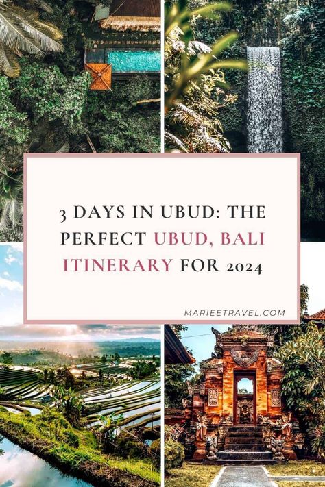 Best 3 Day Ubud Itinerary, Bali (2024) Ubud Bali Itinerary, Ubud Itinerary, Bali Ideas, Honeymoon Inspiration, Bali Itinerary, Bali Honeymoon, Travel 2024, Bali Vacation, Bali Travel Guide