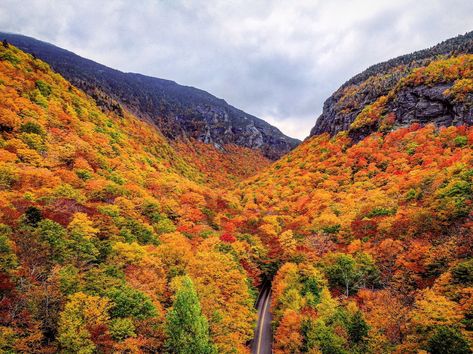 "How beautifully leaves grow old. How full of light and color are their last days." - John Burroughs, Naturalist and Essayist  Vermont's foliage (and cycling) are incredible! 🍁  Get Vermont Bike Tours here → https://www.roaradventures.com/tours?a=62&sb=best_match&q=vermont&utm_source=social&utm_medium=post  📷 via #Vermont #Tourism _ #fall #foliage #colors #leaves #beauty #cycling #bike #tour #cycle #adventure #thisisvt Travel Vermont, University Of Vermont, Vermont Vacation, Vermont Fall, Lakeside Resort, Cheap Fall, Burlington Vermont, Fall Getaways, Burlington Vt