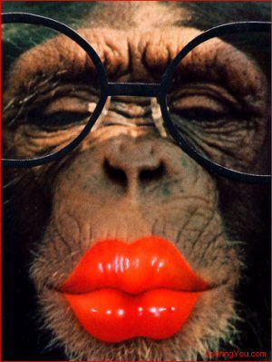 Here's a great big kiss just for you 💋 Funny Animal Faces, Monkey Funny, Laughing Animals, Funny Makeup, Monkey Pictures, Funny Animal Photos, Pet Monkey, Good Morning Funny, Monkeys Funny