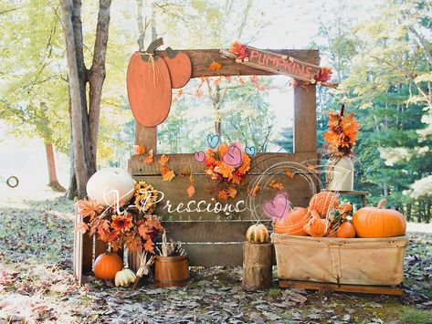 Pumpkin Patch Photo Backdrop, Fall Mini Shoot, Keto Tea, Fall Photo Booth, Fall Festival Party, Festival Template, Beauty Bar Salon, Fall Festival Decorations, Picture Booth