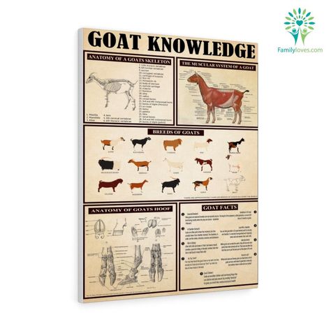 Home Decor Brown, Knowledge Poster, Funny Goat, Lover Wall Art, Goats Funny, Orange Home Decor, Orange Home, Goat Lover, Orange House