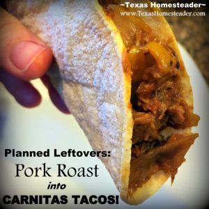 Leftover Pork Roast Recipes, Leftover Pork Loin Recipes, Leftover Carnitas, Baked Taco Shells, Leftover Pork Tenderloin, Leftover Pork Roast, Pulled Pork Enchiladas, Crispy Taco Shells, Pork Carnitas Recipe