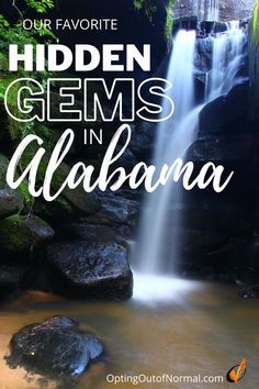 Things To Do In Alabama, Talladega National Forest, Unique Travel Destinations, Alabama Vacation, Alabama Travel, Southern Travel, Road Trip Places, Gulf Shores Alabama, Gulf Shores