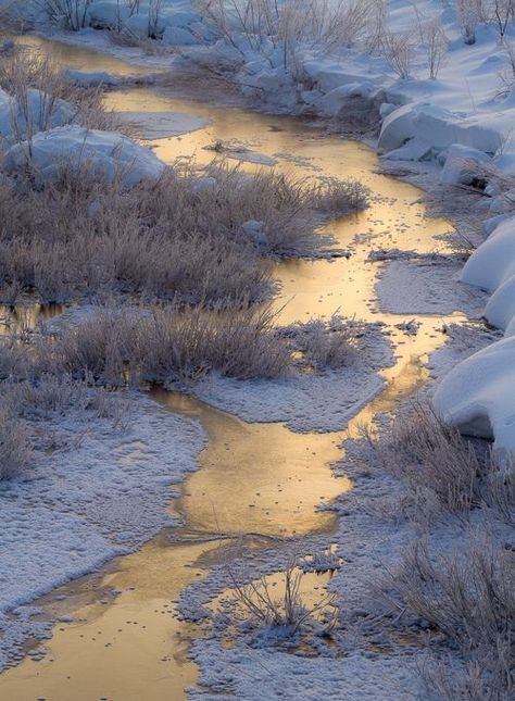 수채화 그림, Winter Scenery, Winter Beauty, Snow Scenes, Winter Wonder, Pics Art, Winter Landscape, Winter Scenes, Landscape Photos