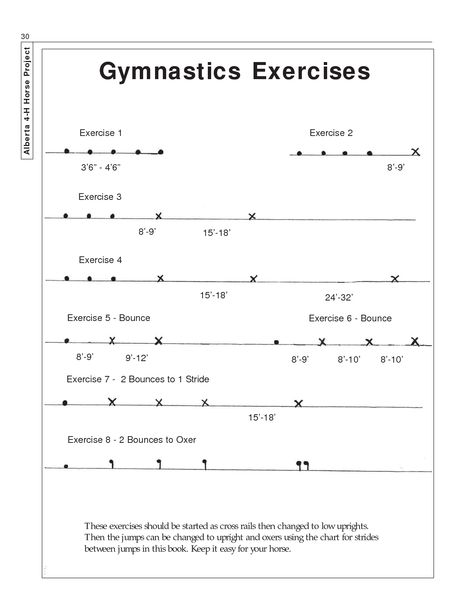 Gymnastic Exercise!!! Jumping Exercises For Horses, Gymnastics Exercises, Equestrian Exercises, Horse Jumping Exercises, Jumping Exercises, Dressage Exercises, Horse Training Exercises, Horse Back Riding, Horse Lessons