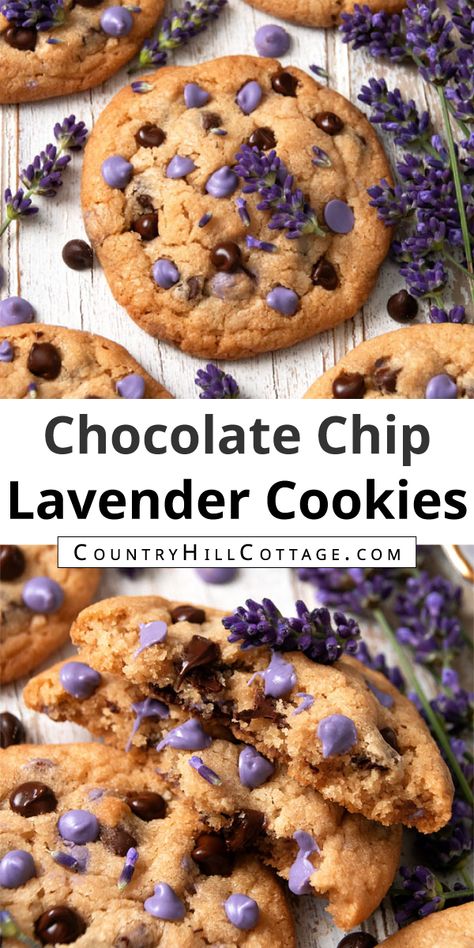 Get ready to fall in love with the best homemade lavender chocolate chip cookies! Chewy and soft in the center, crispy around the edges, and packed full of lavender and chocolate chips, these cookies will have any lavender lover swooning. Chocolate and lavender are a fantastic combination, and each bite is loaded with chocolate and lavender goodness. The bakery style recipe is super easy to make and you probably have the ingredients already stashed in your pantry. | CountryHillCottage.com Honey Lavender Cookies Recipe, Earl Grey Lavender Cookies, Gluten Free Lavender Recipes, Lavender Chocolate Chip Cookies, Lavender Macarons Recipe, Lavender Baked Goods, Lavender Recipes Baking, Lavender Fudge, Winter Baked Goods