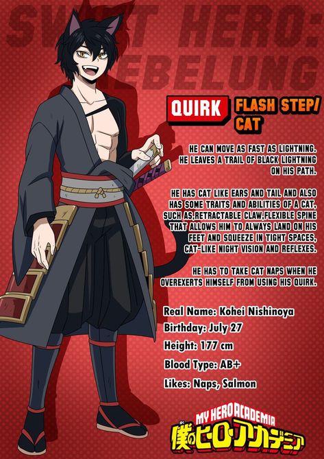 Nebelung, My Hero Academia Costume, Mha Oc, My Hero Academia 2, My Hero Academia Shouto, Superhero Characters, Hero Costumes, Superhero Design, Super Hero Costumes