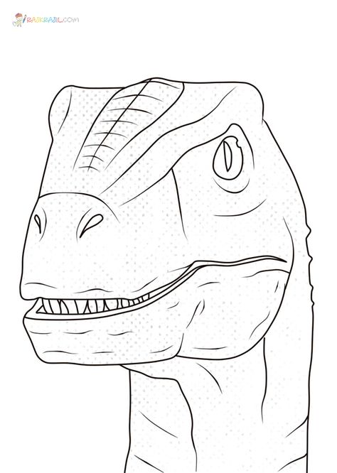 Raskrasil.com-Coloring-Pages-Jurassic-World-5 Jurassic Park Drawing Easy, Jurassic World Drawings Easy, Jurassic World Drawing, Jurassic Park Drawing, Dinosaur Sketch, Color Knowledge, Lego Jurassic World, Dinosaur Drawing, Stone Art Painting