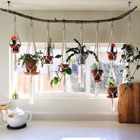 Love this hanging garden by @ropeandroot -- we need one of these 😍 Thanks for sharing in the #prickleandvine feed! Indoor Aquaponics, Low Maintenance Indoor Plants, Plants Balcony, Herb Plants, Plants Hanging, Tiny Garden, Hanging Plants Indoor, Plant Projects, Deco Nature