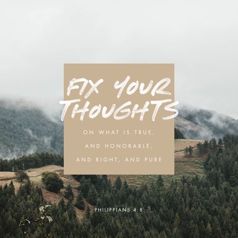 Fix your thoughts on what is true, and honorable, and right, and pure, and lovely, and admirable. Whatsoever Things Are True, Whatsoever Things Are Lovely, Praying For Your Husband, Whatever Is True, Amplified Bible, Hope For The Future, Finding God, Philippians 4, Daily Bible Verse