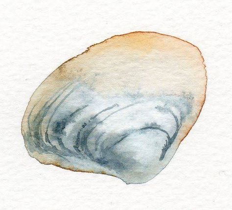 Seashells Painting, Professional Watercolor, Seashell Painting, Watercolor Ocean, Watercolor Paintings Easy, Beach Watercolor, Watercolor Art Lessons, Watercolor Inspiration, Painting Art Projects