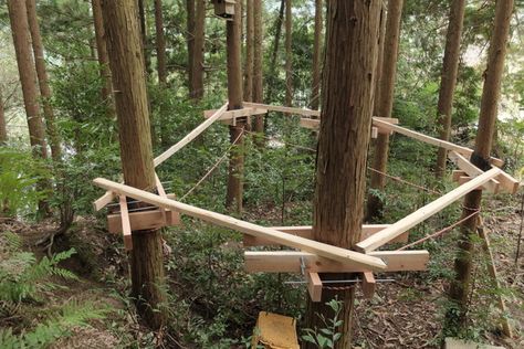 Simple Tree House, Pallet Tree, Beautiful Tree Houses, Building A Treehouse, Tree House Plans, Tree Fort, Tree House Diy, Tree House Kids, Cool Tree Houses