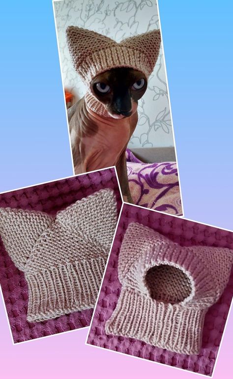 Crochet Cat Harness, Kitten Sweater, Chat Sphynx, Crochet Dog Clothes, Crochet Cat Toys, Dog Clothes Diy, Crochet Dog Sweater, Animal Sweater, Crochet Cat Pattern